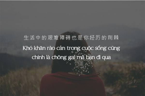 Những câu nói tiếng Trung hay về tình yêu và cuộc sống - Tiếng Trung Kaixin